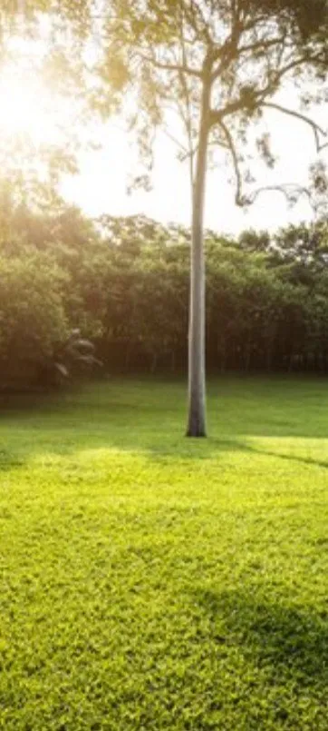 Custom residential landscaping in Red Wing, MN - Weed Wiping & Mowing