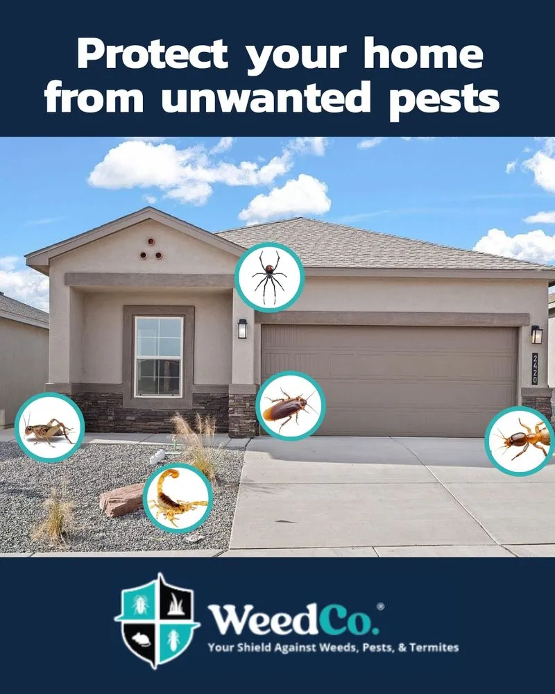 Professional landscaping services for residential properties across Tucson, AZ - WeedCo