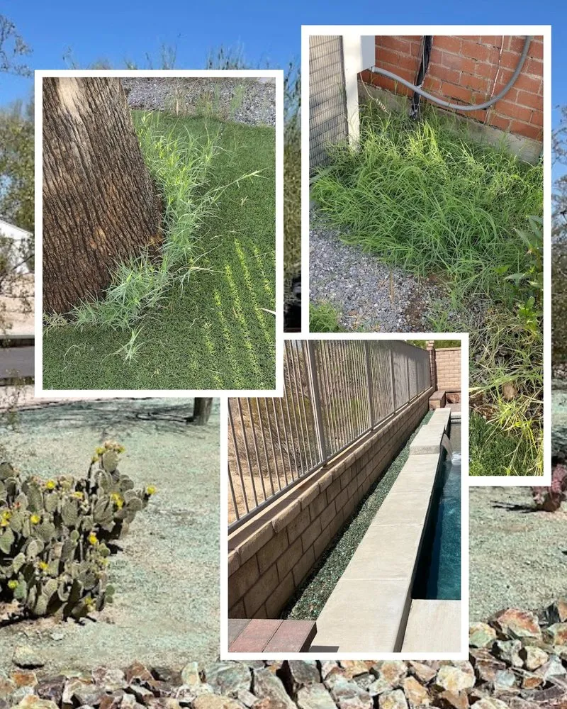 Affordable garden landscaping in Tucson, AZ by WeedCo