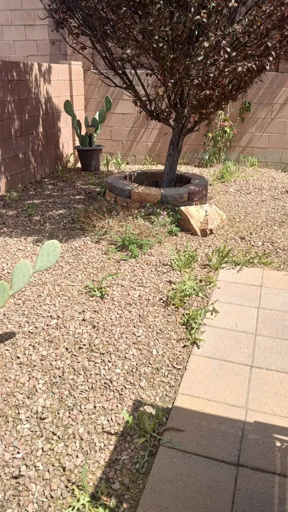 Reliable lawn mowing service in Tucson, AZ by WeedCo