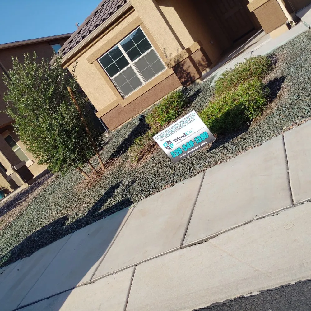 Reliable outdoor landscaping with custom design in Tucson, AZ by WeedCo