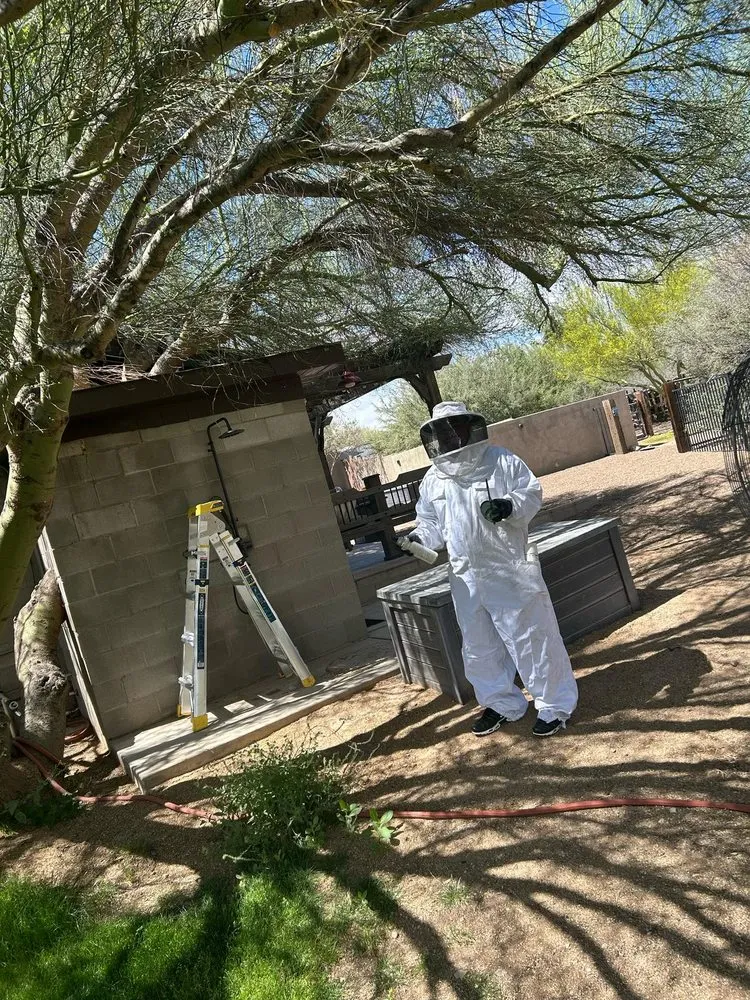 Custom residential landscaping in Tucson, AZ by WeedCo