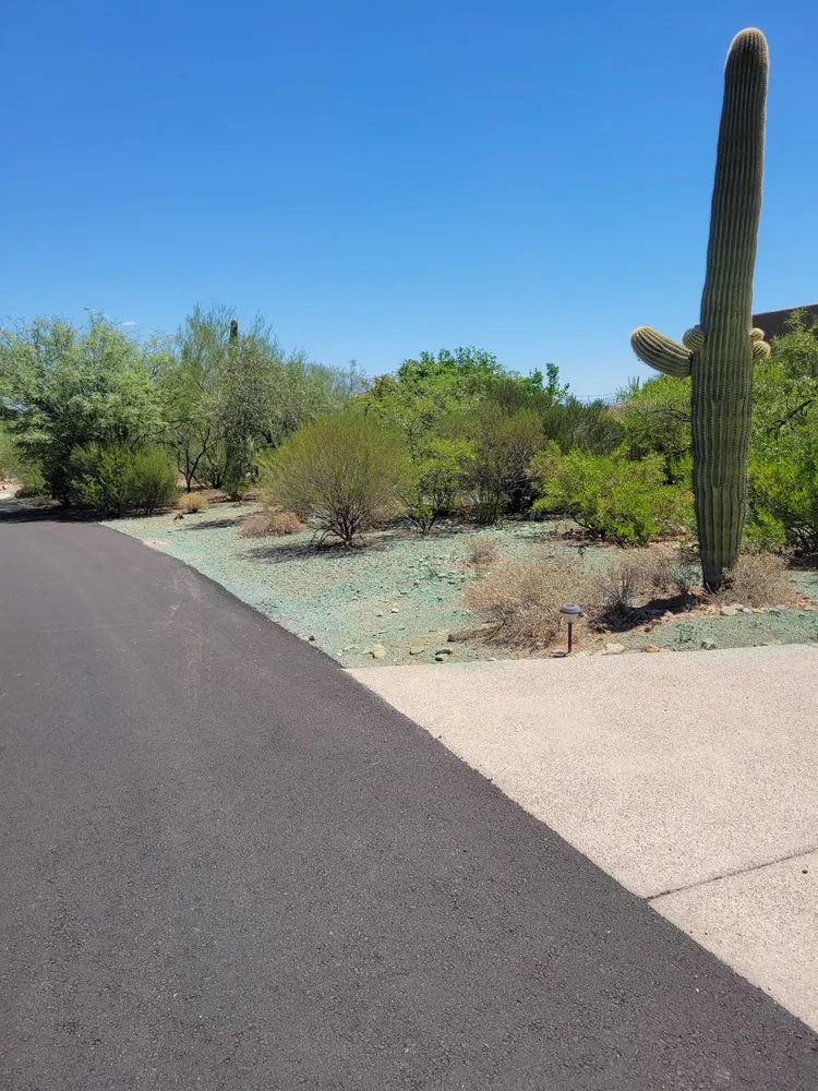 Trusted landscaping services experts serving Tucson, AZ - WeedCo
