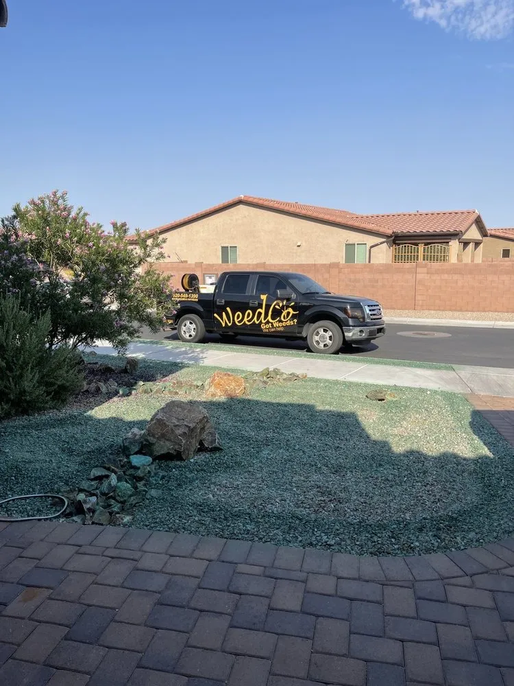 Reliable lawn care service with custom design in Tucson, AZ by WeedCo