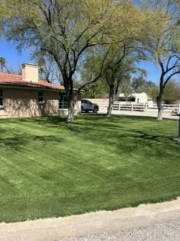 Expert residential landscaping for outdoor upgrades across Tucson, AZ - WeedCo