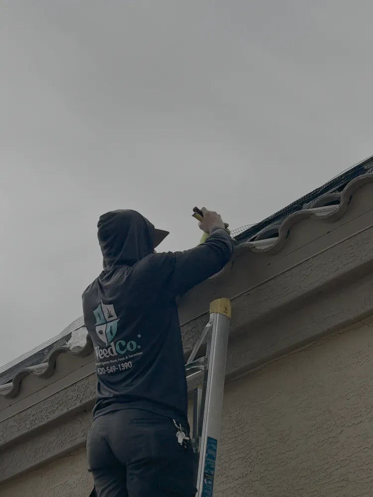 Local landscape installation experts serving Tucson, AZ - WeedCo