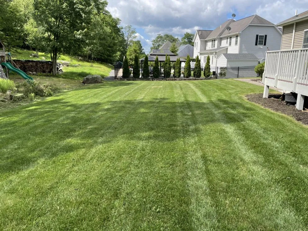 Affordable yard maintenance in Wilkes-Barre, PA - Weedeater Kingz