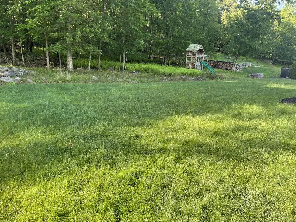 Top-rated residential landscaping experts serving Wilkes-Barre, PA - Weedeater Kingz