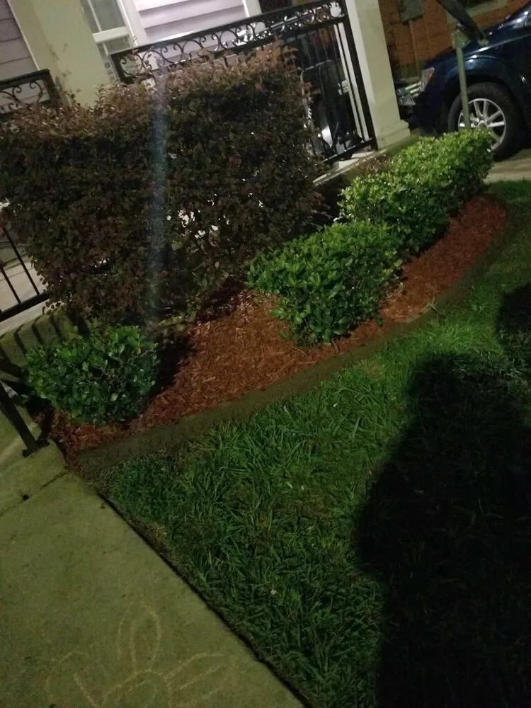 Trusted garden landscaping for outdoor upgrades in New Orleans, LA by Weedeaters Lawn Care & More