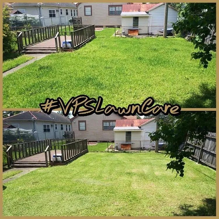 Local yard cleanup service in New Orleans, LA - Weedeaters Lawn Care & More