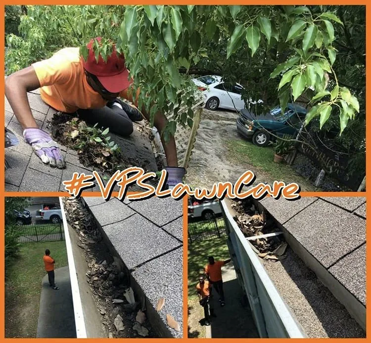 Top-rated yard cleanup service for outdoor upgrades in New Orleans, LA by Weedeaters Lawn Care & More