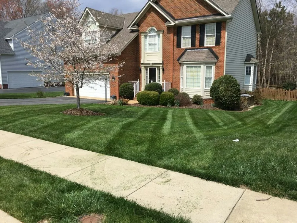 Local landscape design in Glen Allen, VA - Weeded Lawn Service