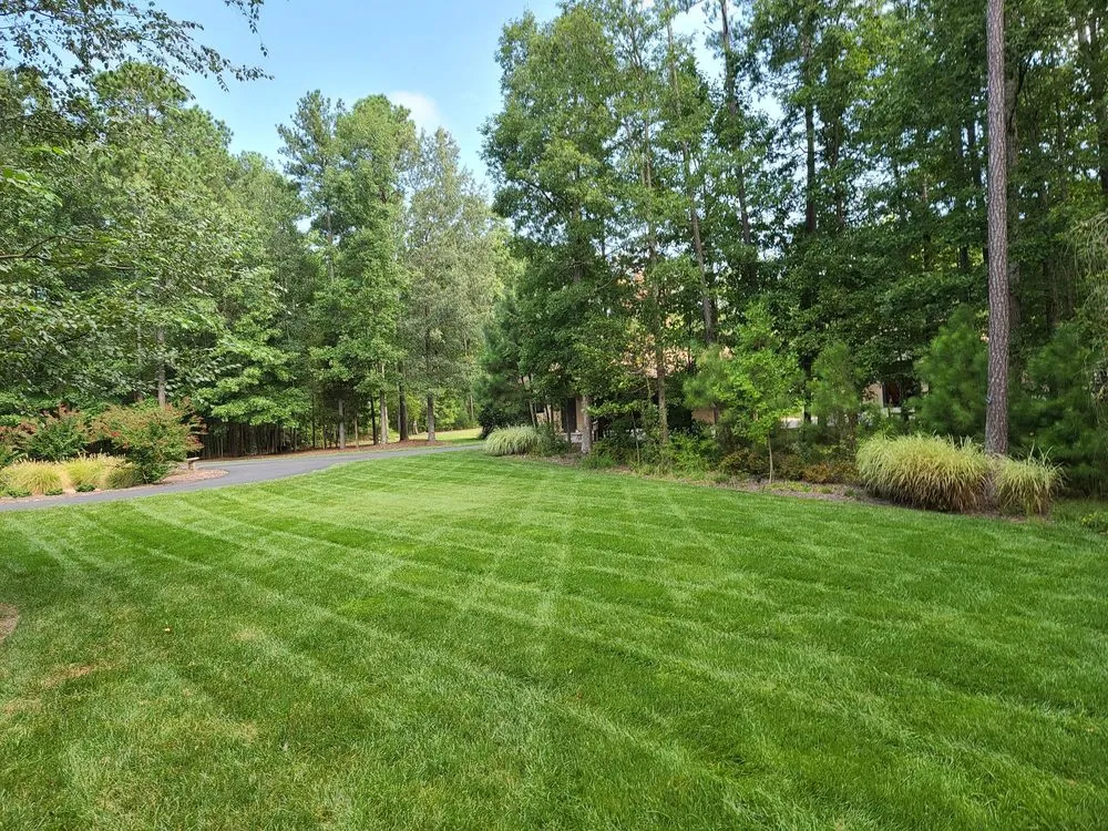 Reliable landscape design for year-round maintenance in Glen Allen, VA by Weeded Lawn Service