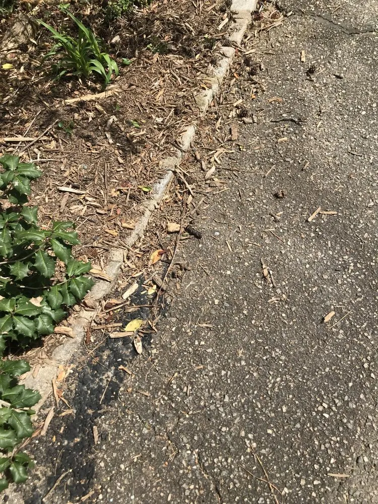 Affordable outdoor landscaping with custom design in Glen Allen, VA by Weeded Lawn Service