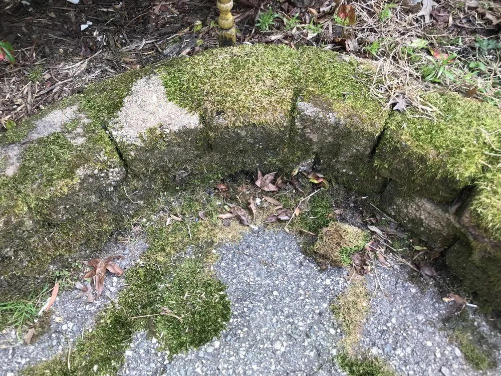 Reliable garden landscaping for beautiful yards in Glen Allen, VA by Weeded Lawn Service