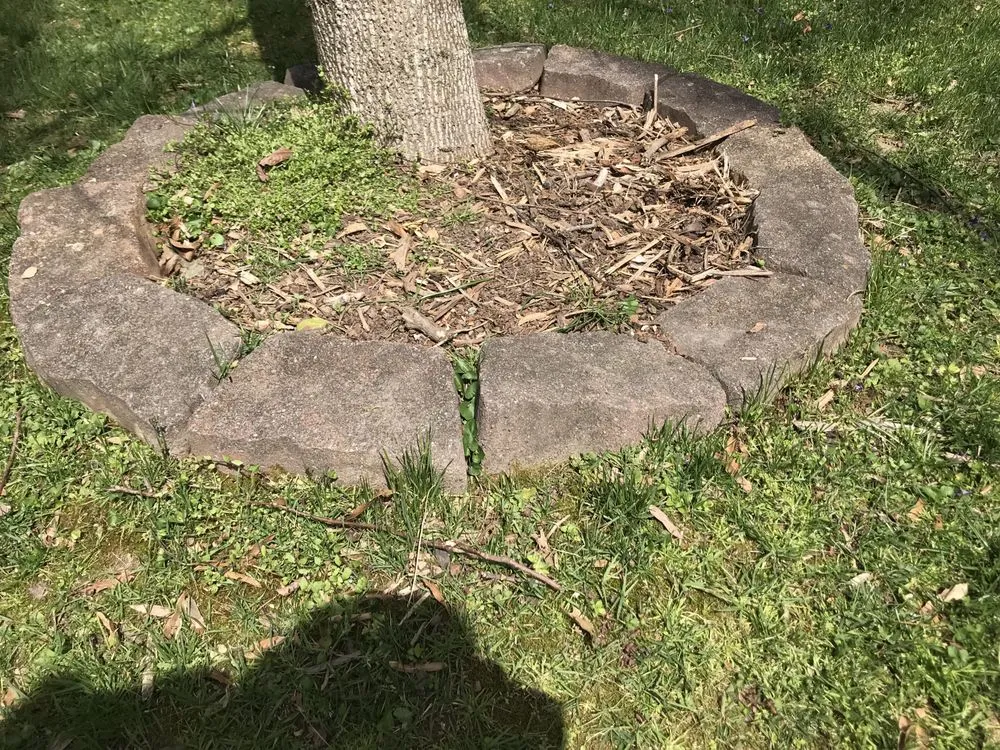 Top-rated lawn care service for beautiful yards in Glen Allen, VA by Weeded Lawn Service