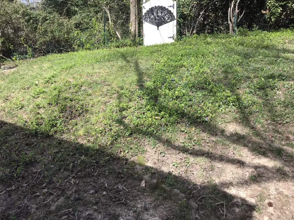 Affordable garden landscaping experts serving Glen Allen, VA - Weeded Lawn Service