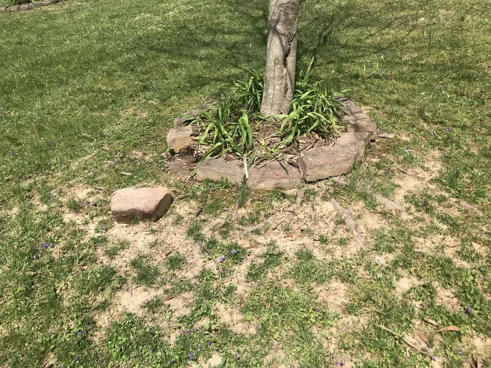 Custom landscape design in Glen Allen, VA - Weeded Lawn Service