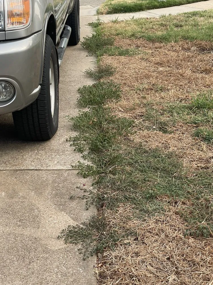 Local residential landscaping in Lewisville, TX by Weedex Lawn Care