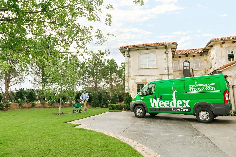 Reliable landscaping services experts serving Lewisville, TX - Weedex Lawn Care