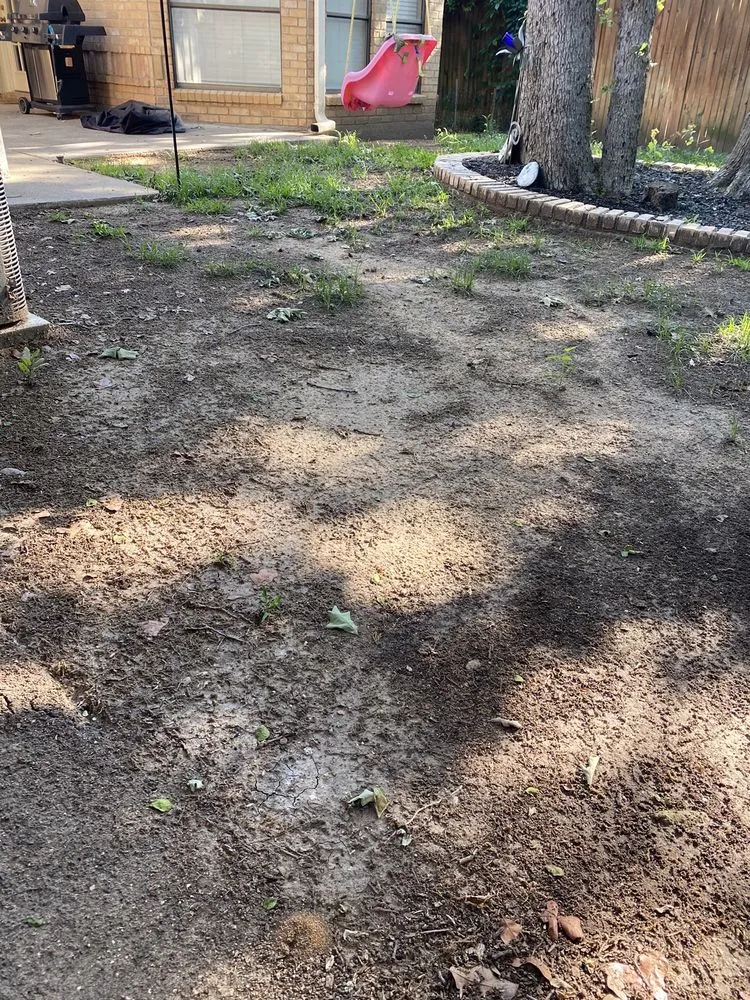 Expert landscape design in Lewisville, TX - Weedex Lawn Care