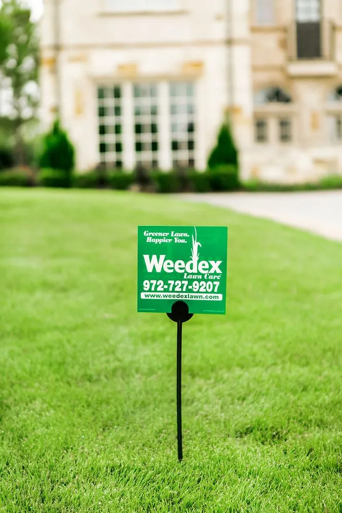 Affordable landscape installation in Lewisville, TX - Weedex Lawn Care