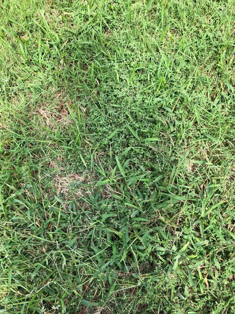 Trusted landscape installation near you across Lewisville, TX - Weedex Lawn Care