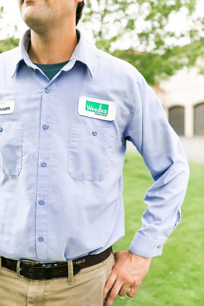 Affordable landscaping services for outdoor upgrades across Lewisville, TX - Weedex Lawn Care