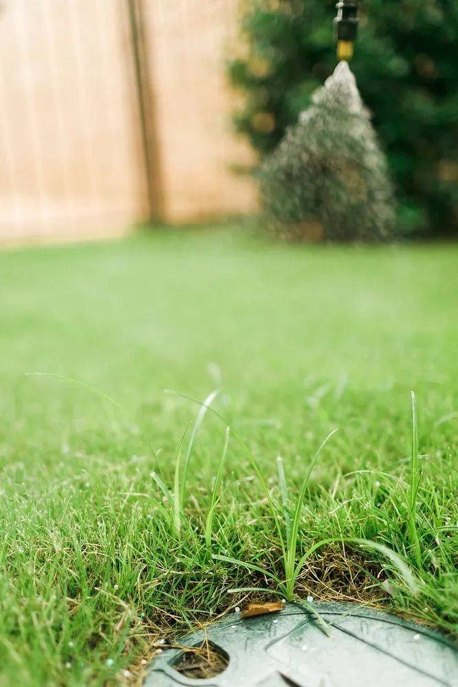 Custom residential landscaping in Lewisville, TX - Weedex Lawn Care