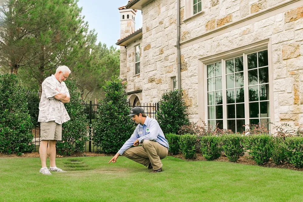 Trusted lawn mowing service experts serving Lewisville, TX - Weedex Lawn Care