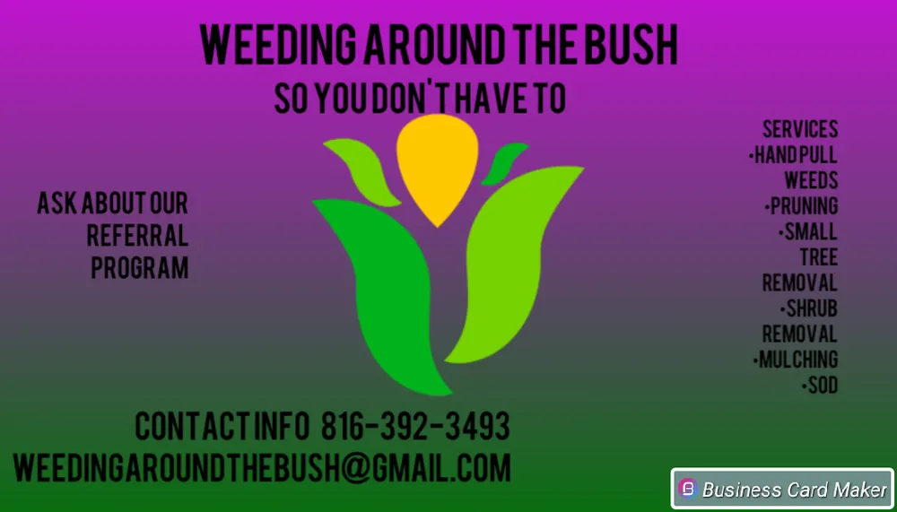Professional yard maintenance for outdoor upgrades in St. Peters, MO by Weeding Around the Bush
