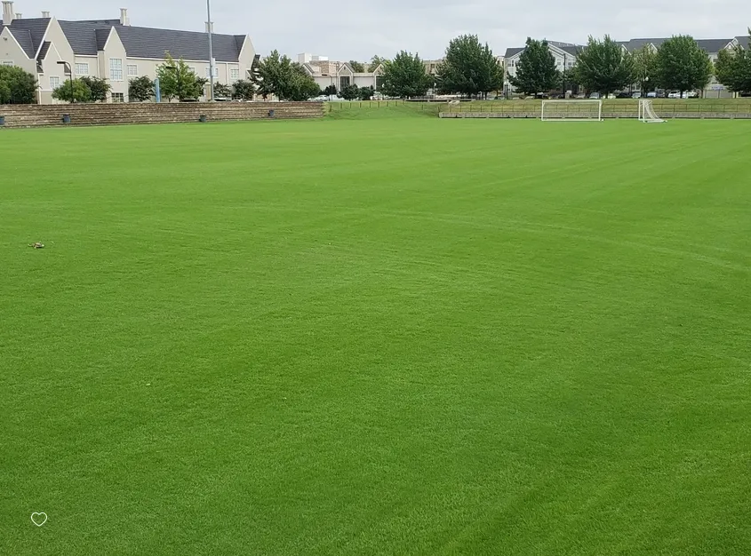 Professional garden landscaping in Sand Springs, OK - Weedless Lawn Care