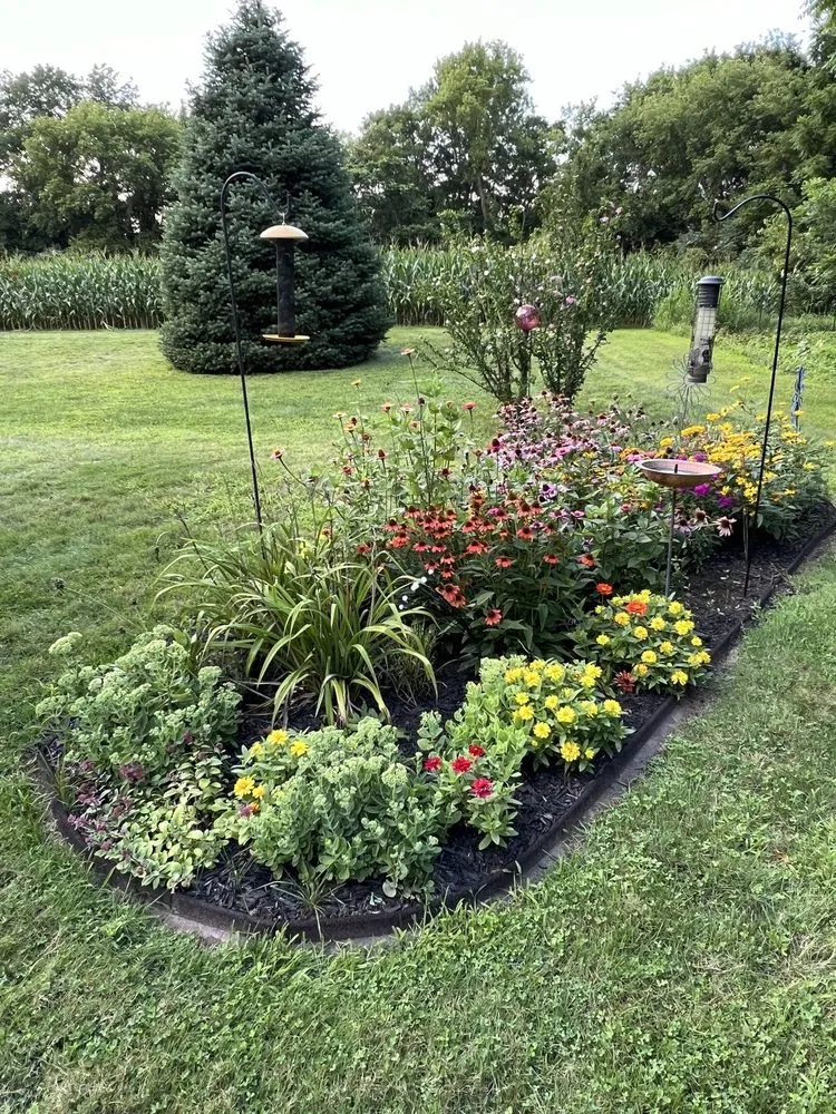 Professional lawn care service near you in Kalamazoo, MI by Weedmo Services