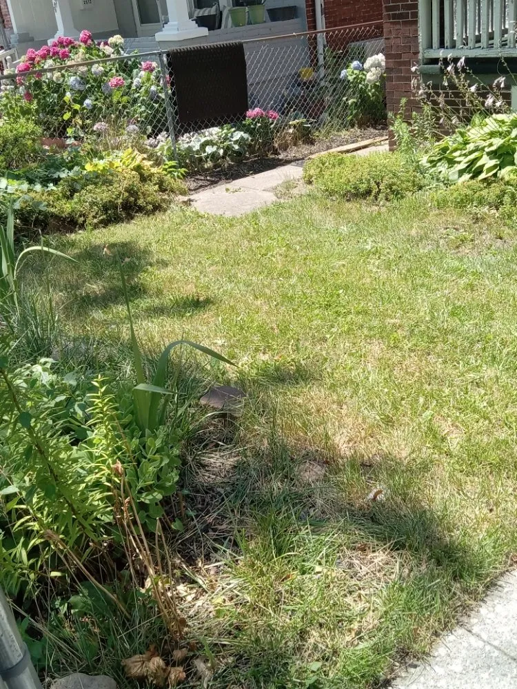 Trusted landscaping services in Harrisburg, PA by Weedon and sons all seasons landscaping & more