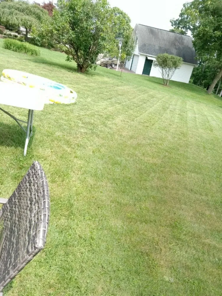 Reliable yard cleanup service in Harrisburg, PA by Weedon and sons all seasons landscaping & more