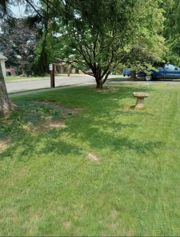 Trusted outdoor landscaping in Harrisburg, PA - Weedon and sons all seasons landscaping & more