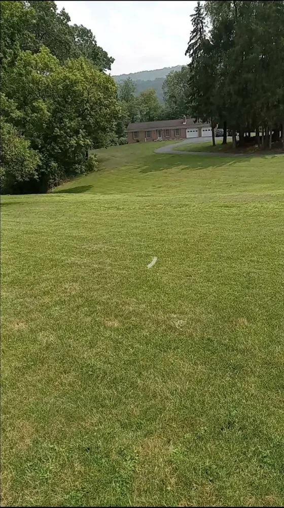 Expert outdoor landscaping with custom design across Harrisburg, PA - Weedon and sons all seasons landscaping & more