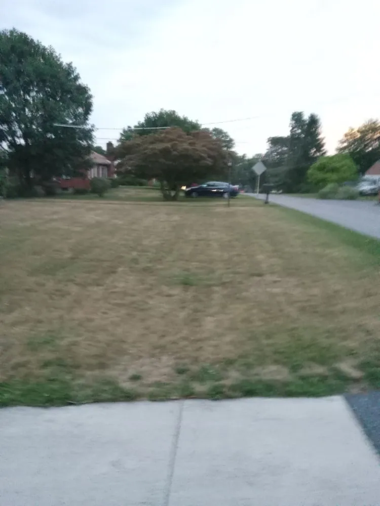 Reliable lawn mowing service in Harrisburg, PA by Weedon and sons all seasons landscaping & more