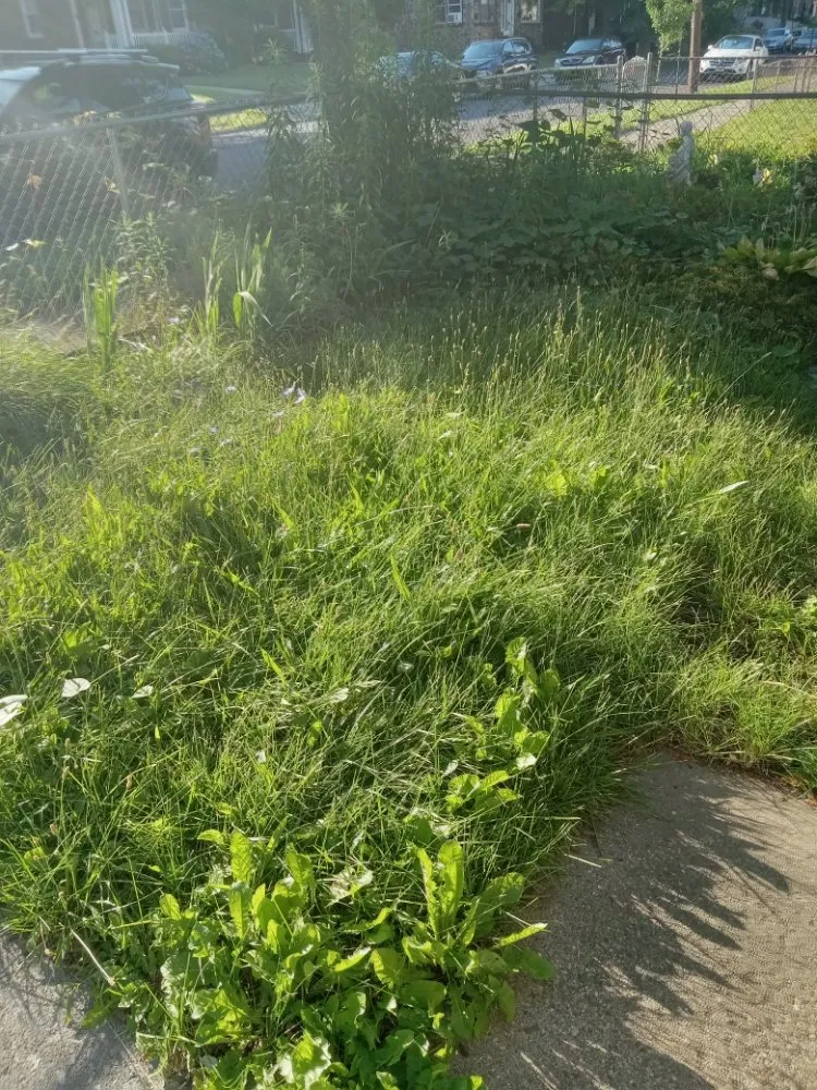 Top-rated residential landscaping near you in Harrisburg, PA by Weedon and sons all seasons landscaping & more