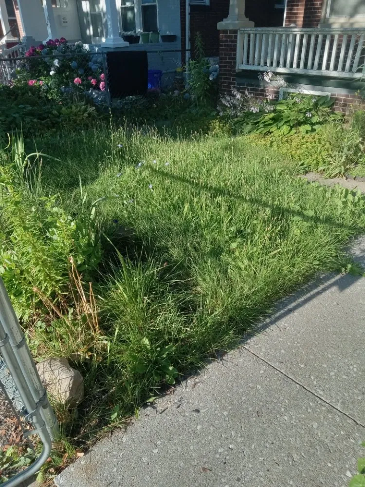 Expert yard maintenance in Harrisburg, PA by Weedon and sons all seasons landscaping & more