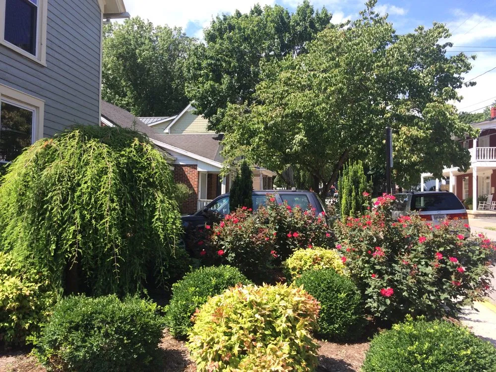 Top-rated lawn care service in Lexington, VA - Weeds & Leaves