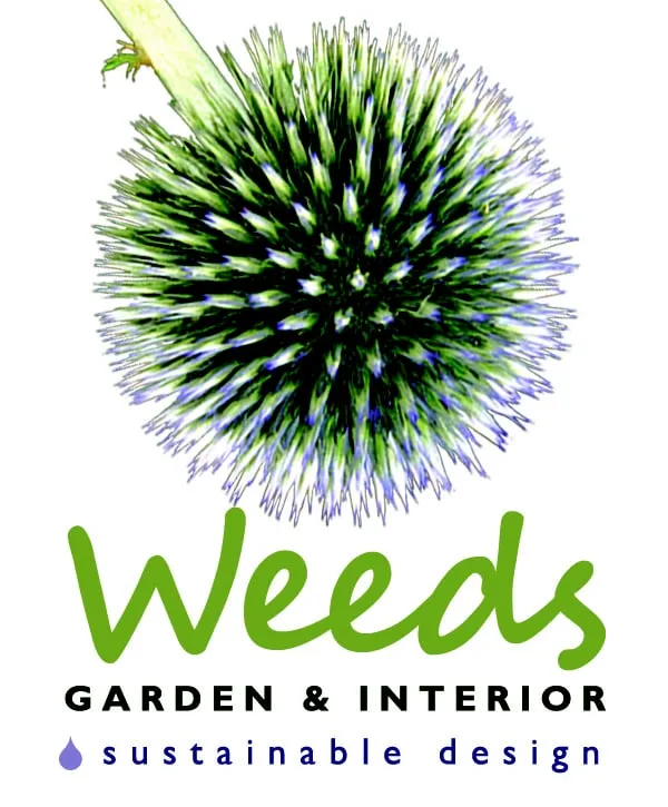 Affordable residential landscaping in Los Angeles, CA by Weeds Garden & Interior Design