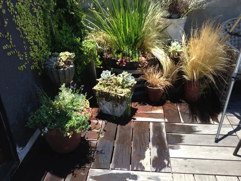 Affordable outdoor landscaping in Los Angeles, CA by Weeds Garden & Interior Design