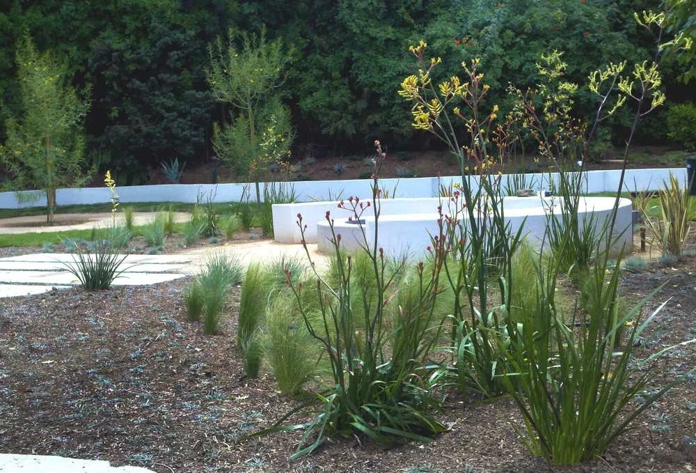 Trusted yard cleanup service in Los Angeles, CA - Weeds Garden & Interior Design