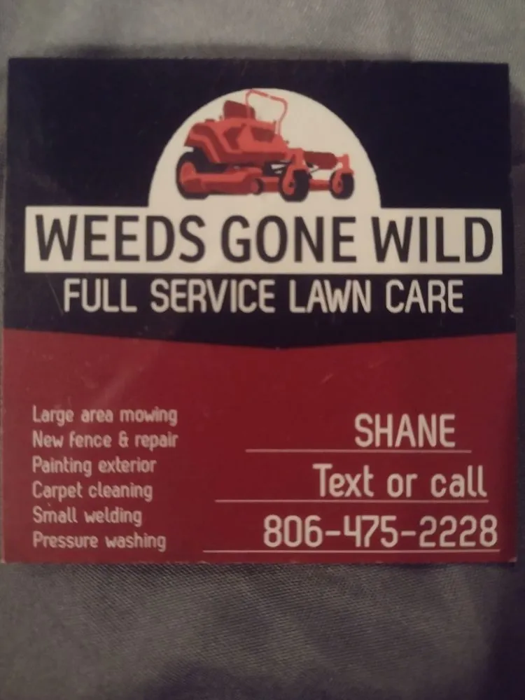 Reliable lawn mowing service near you across Valley View, TX - Weeds Gone Wild