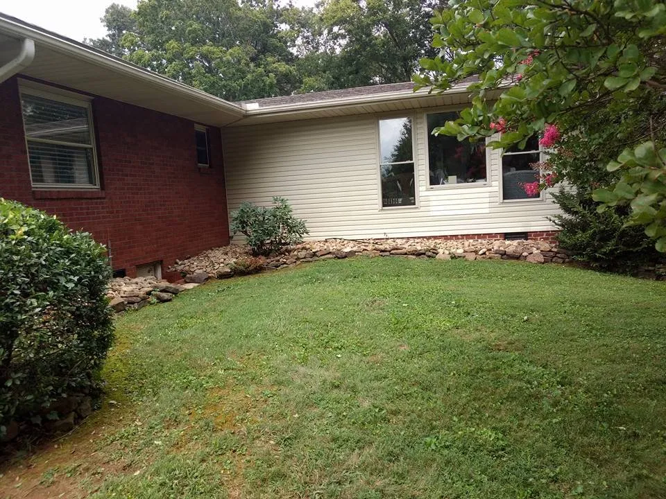 Reliable yard cleanup service for residential properties across Morristown, TN - Weeds-N-Things