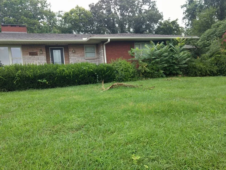 Reliable landscape design for year-round maintenance across Morristown, TN - Weeds-N-Things