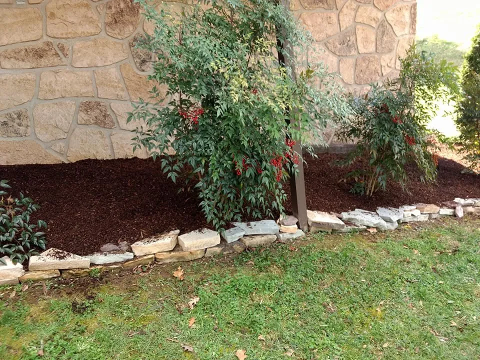 Expert residential landscaping with custom design across Morristown, TN - Weeds-N-Things