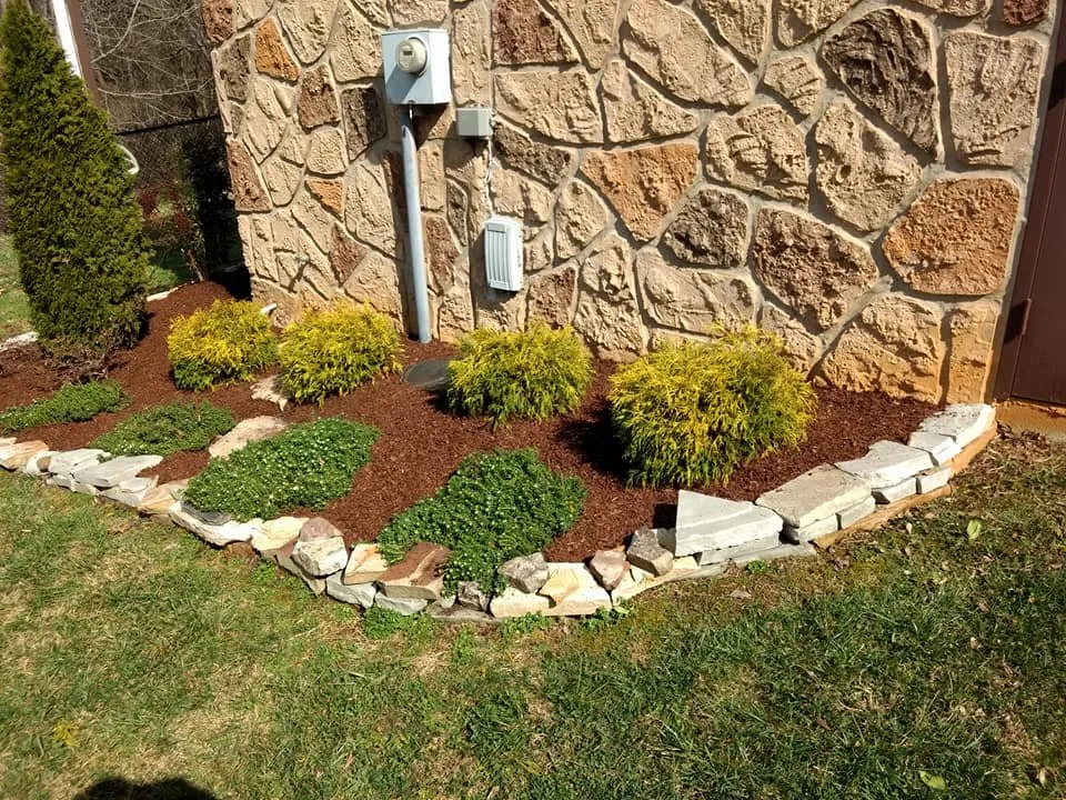 Expert yard cleanup service in Morristown, TN - Weeds-N-Things