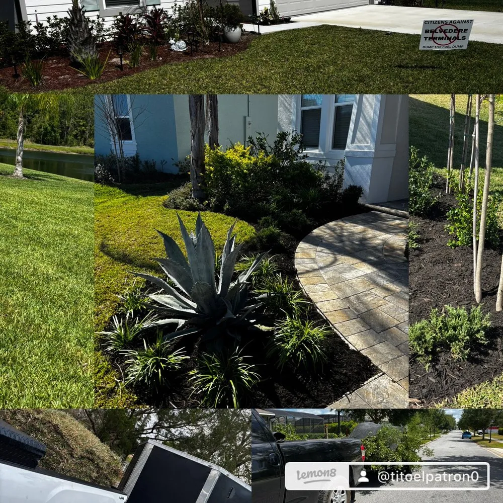 Top-rated landscape design for outdoor upgrades in Bunnell, FL by Weeds Rus